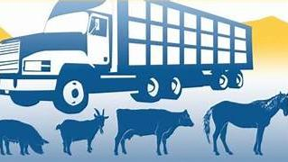BIENESTAR ANIMAL EN EL TRANSPORTE