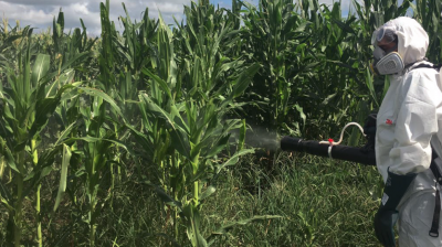 Renovación online del CARNET MANIPULADOR PLAGUICIDAS