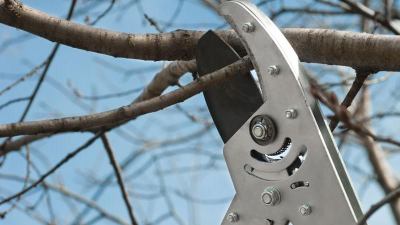 PODA Y SISTEMAS DE FORMACIÓN EN LOS FRUTALES DE HUESO